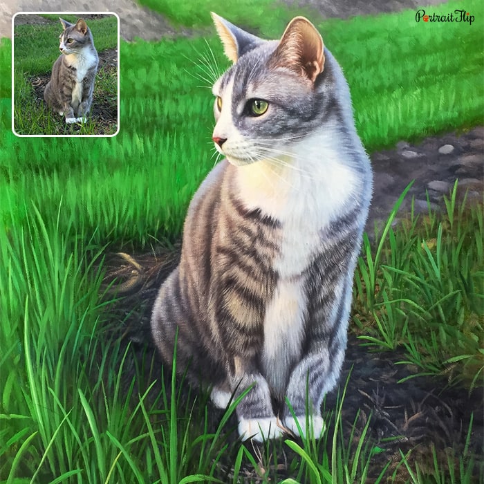 Picture of a cat sitting on ground surrounded by grasses is converted into acrylic painting